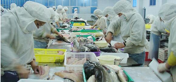 谢记食品——鱼类产品生产加工车间